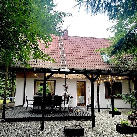 Sielanka Kretowiny 빌라 외부 사진